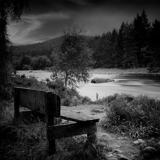 River Dee Contemplation